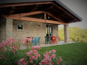 Alla Vecchia Contrada B&B Arveaco